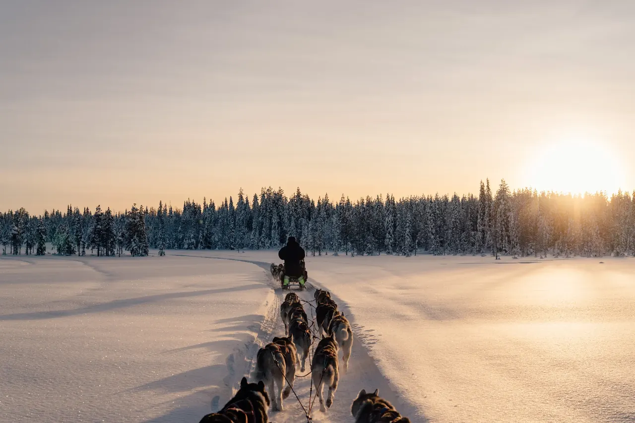 Husky Sledding Expedition