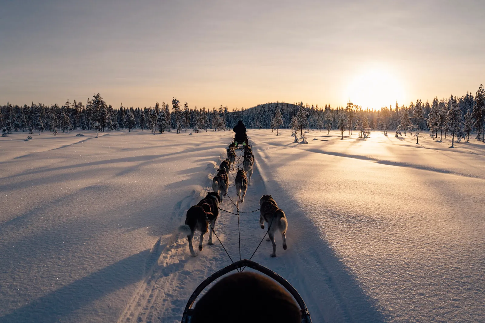ARCTIC ADVENTURE EXPEDITION
