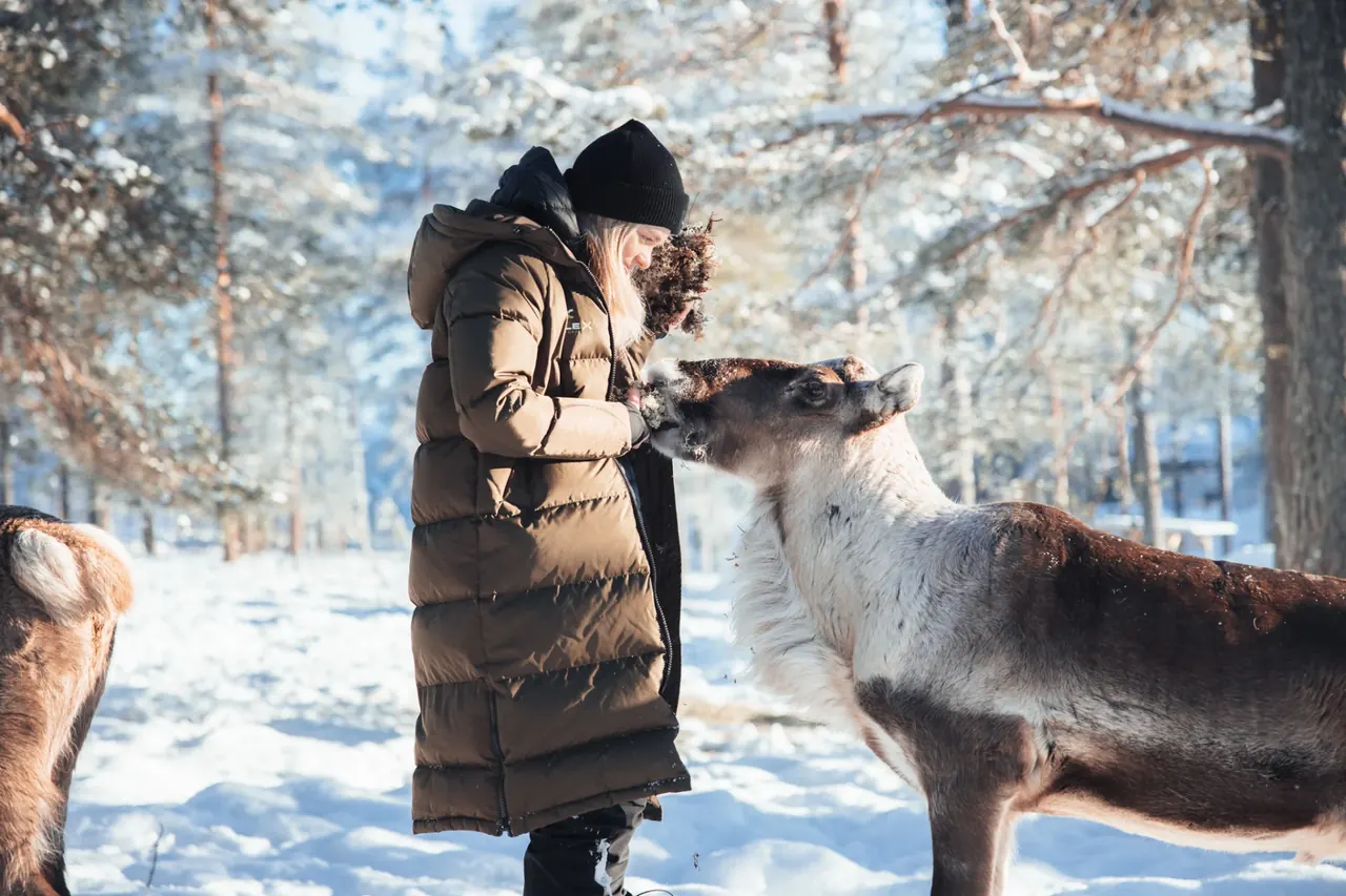 Reindeer Experience