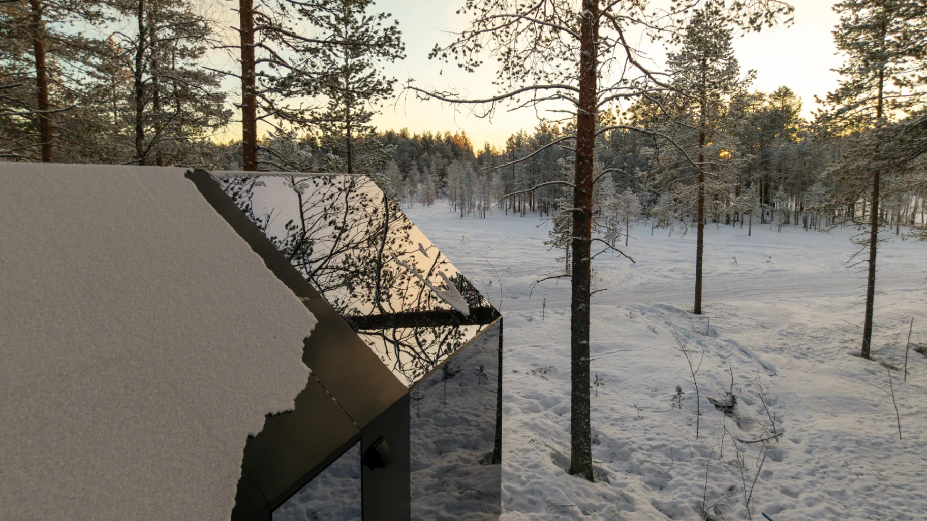 ARCTIC FOREST VIEW CABIN at Sameland Retreat